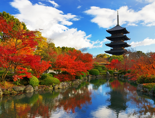米誌人気投票で京都が世界一の観光都市に