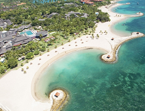 インタビュー 認知科学者 苫米地英人 Vol.1