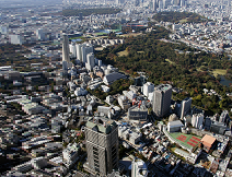 ボッテガ・ヴェネタ、ハマー美術館の 「ガラ・イン・ザ・ガーデン」に協賛