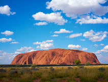 NYエグゼクティブ御用達　出張オーダー