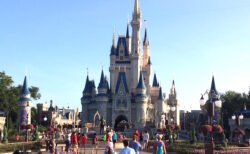 エンリッチ　ウルトラリッチ　ディズニー