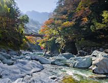 ポイント＆付帯特典で旅行を楽しむ　2/3