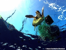 ブライトリングが「オーシャン・コンサーバンシー」とのパートナーシップを発表