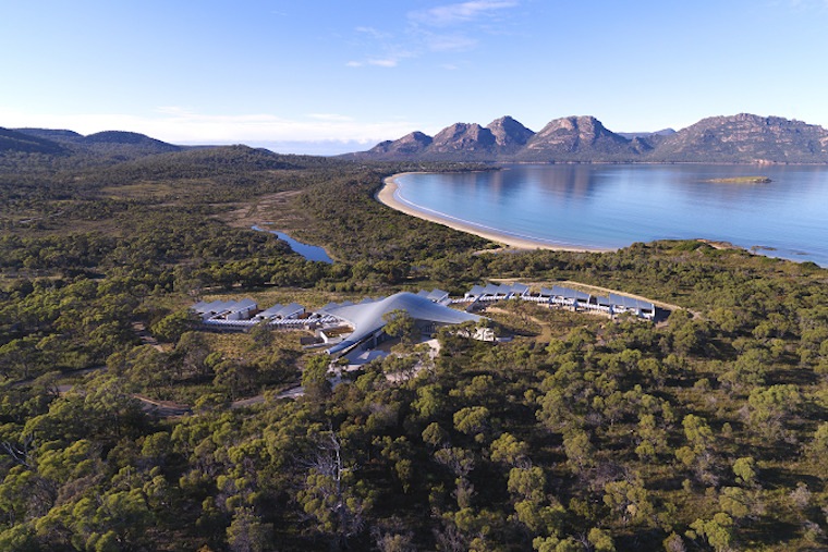 サファイア・フレイシネット