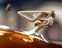 【39】米国の金融政策と中国の景気減速。アジア不動産投資への影響は？